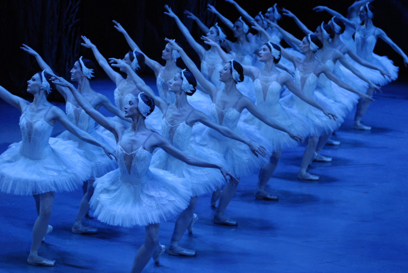 Photos: State Ballet of Georgia Performs SWAN LAKE Ahead of London Coliseum Return Image
