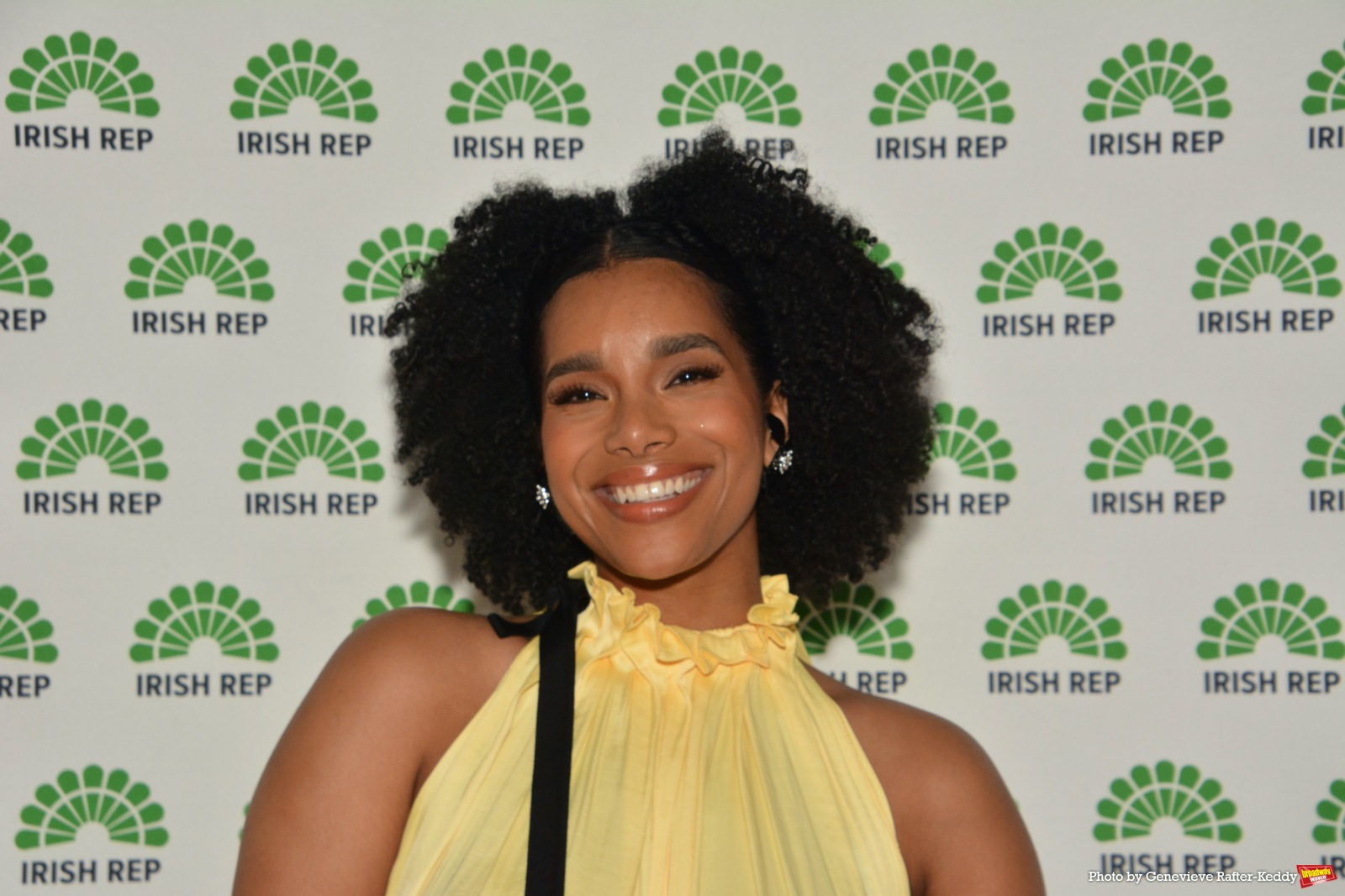 Photos: F. Murray Abraham, Shereen Ahmed, and More at Irish Rep 2026 Gala Benefit Image