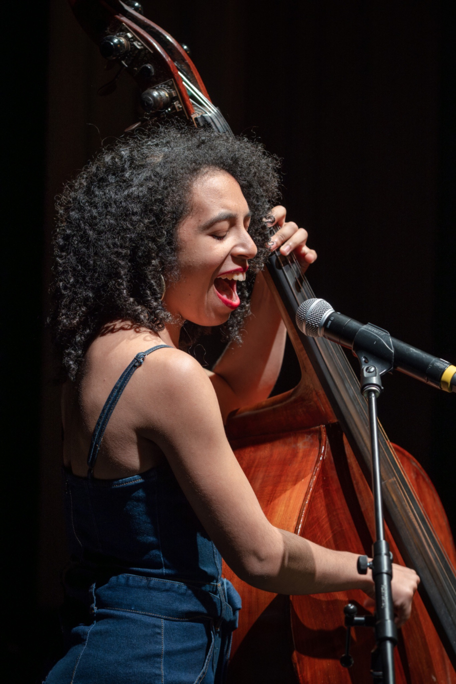 Review: The New York Vocal Collective's INDIGO Soars at El Museo Del Barrio Image