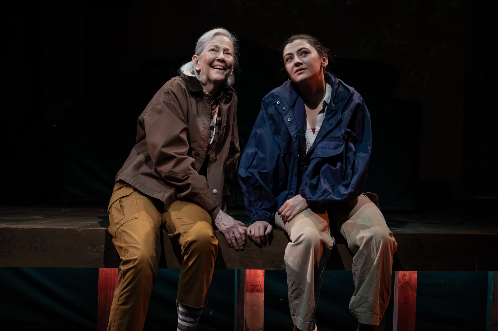 Review: PRECARIOUS at Mosaic Theater Company Image