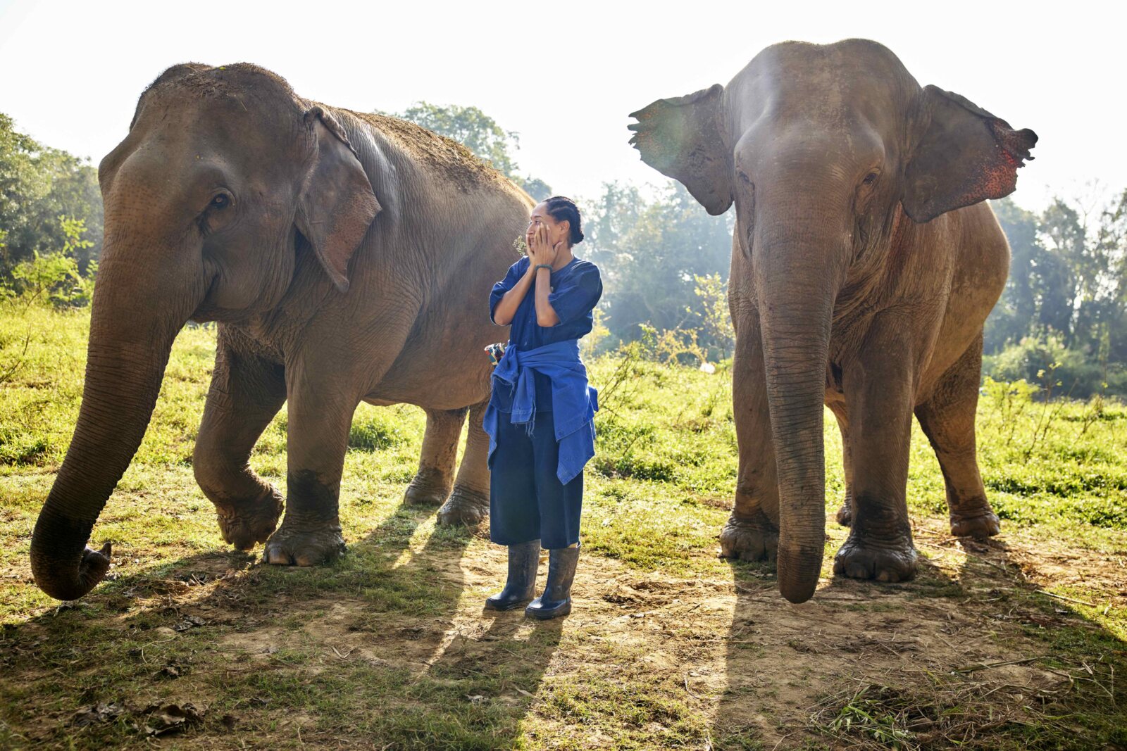 Photos: First Look at SOLO TRAVELING WITH TRACEE ELLIS ROSS Season 2 Image