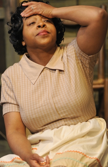 Photo Flash: FENCES At Performance Network Theatre Image