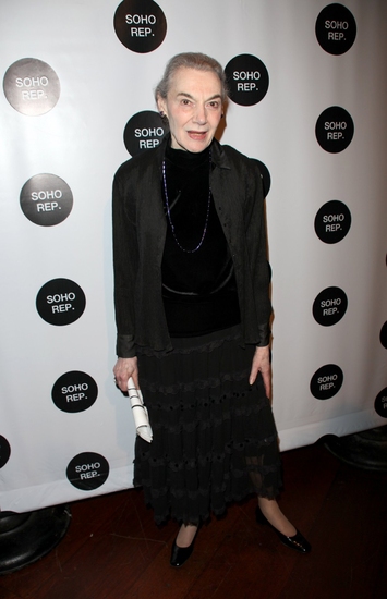 Photo Coverage: SOHO REP 2009 Spring Gala Image