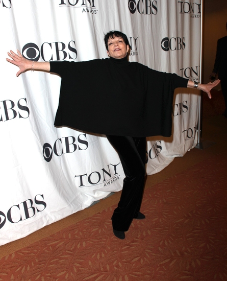 Photo Coverage PREVIEW: 2009 Tony Awards 'Meet the Nominees' Press Reception Image