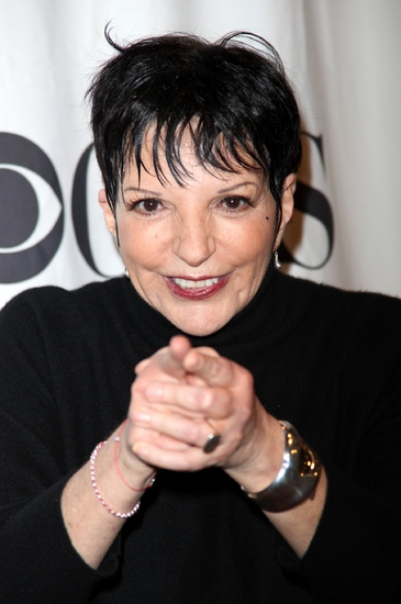 Photo Coverage PREVIEW: 2009 Tony Awards 'Meet the Nominees' Press Reception Image