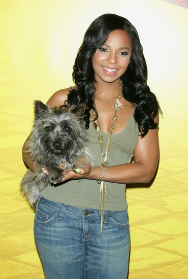 Photo Coverage: THE WIZ's Ashanti and Nigel Host 'There's No Place Like Home' Adoption Day at City Center Image