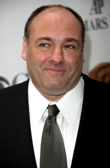 Photo Coverage: 2009 Tony Arrivals Part 3 Image