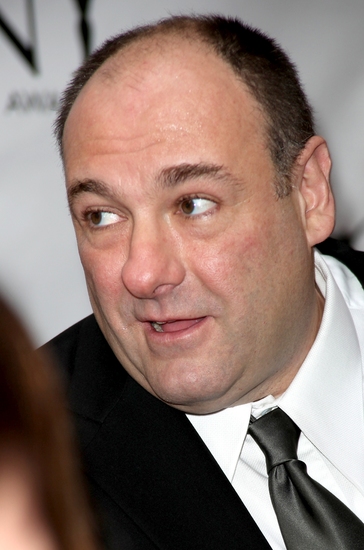 Photo Coverage: 2009 Tony Arrivals Part 3 Image