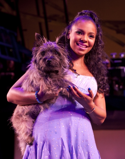 Photo Flash: Encores! Summer Stars's THE WIZ Image