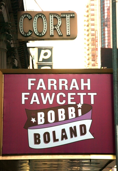Photo Tribute: Remembering Farrah Fawcett Image