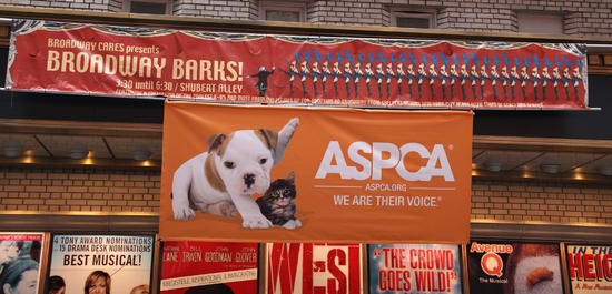 Photo Coverage: 'BROADWAY BARKS 11' In Shubert Alley Image