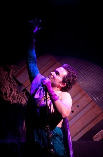 Photo Flash: Walking Shadow's ROBOTS VS. FAKE ROBOTS Closes At People's Center Theatre Image