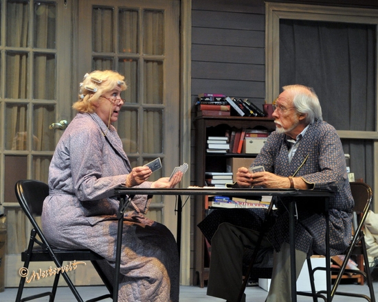 Photo Flash: Wayside's THE GIN GAME Runs Thru 8/15 Image