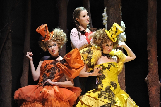 Photo Flash: KC Rep's INTO THE WOODS Image