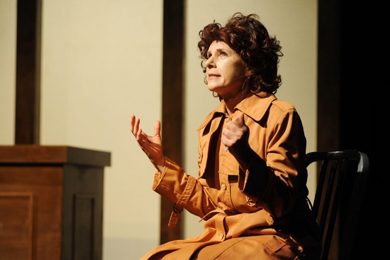 Photo Flash: PNT's THE BLONDE, THE BRUNETTE AND THE VENGEFUL REDHEAD Image