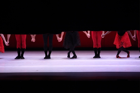 Photo Coverage: 'Fall For Dance Festival 2009' Image