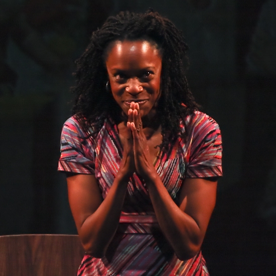 Photo Coverage: THE NIGHT WATCHER Opening Night Image