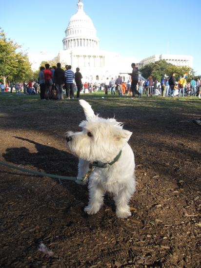 Photo Flash: HAIR at the National Equality March in Washington, D.C. Image