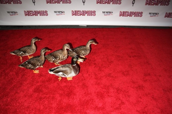 Photo Coverage: MEMPHIS on Broadway at the Shubert Theatre - Opening Night Arrivals Image