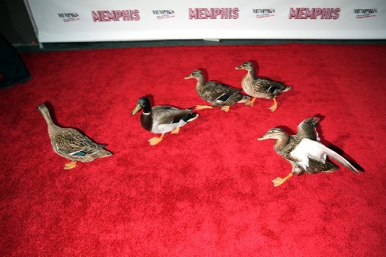 Photo Coverage: MEMPHIS on Broadway at the Shubert Theatre - Opening Night Arrivals Image