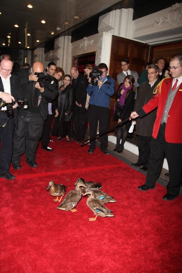 Photo Coverage: MEMPHIS on Broadway at the Shubert Theatre - Opening Night Arrivals Image