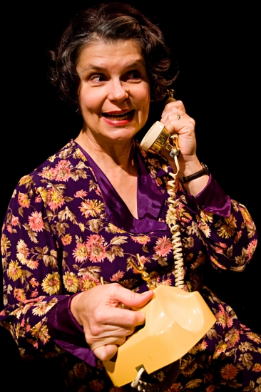 Photo Flash: THE LAST NIGHT OF BALLYHOO at the Main Street Theater Image