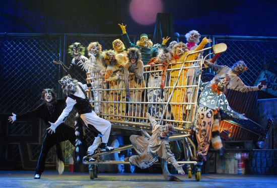 Photo Flash: Teatro Sistina's CATS  Image