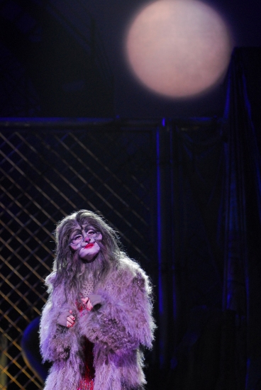 Photo Flash: Teatro Sistina's CATS  Image