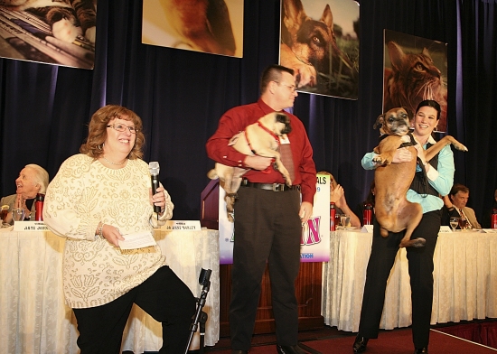 Sue Taylor introduces animals from Pet Assisted Therapy Photo