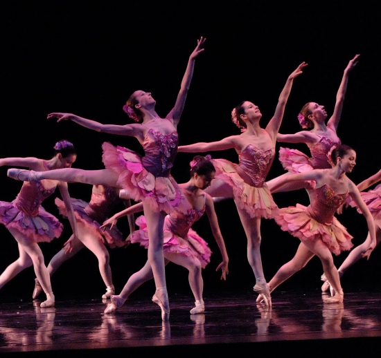 Photo Flash: Loyce Houlton's NUTCRACKER FANTASY Image