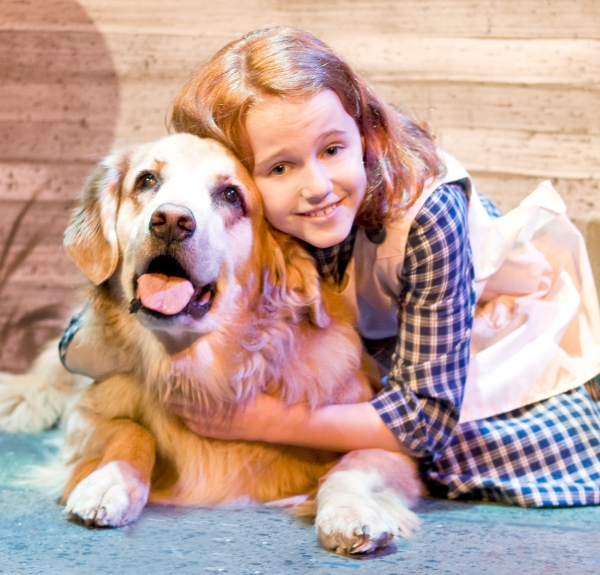 Photo Flash: ANNIE at the Des Moines Playhouse 