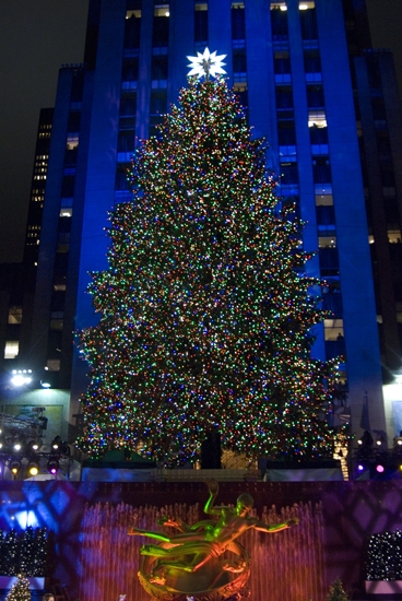 Photo Coverage: 2009 Rockefeller Christmas Tree Lighting! Image