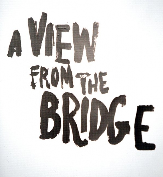 Photo Coverage: Starry Cast of A VIEW FROM THE BRIDGE Cast Meets the Press! Image