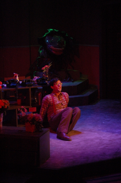 Photo Coverage: Little Shop of Horrors at Prince Music Theatre Image