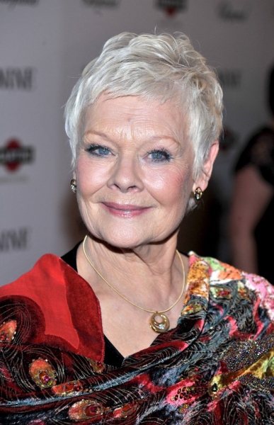 Photo Coverage: NINE Film Premieres in New York City at the Ziegfeld Theatre! Image