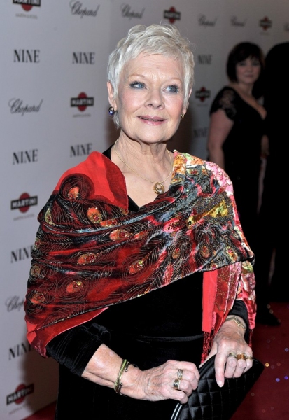 Photo Coverage: NINE Film Premieres in New York City at the Ziegfeld Theatre! Image