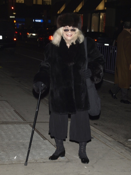 Photo Coverage: 2009 New York Film Critic's Circle Awards Arrivals Image