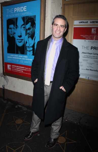 Photo Coverage: THE PRIDE Opening Night Arrivals Image