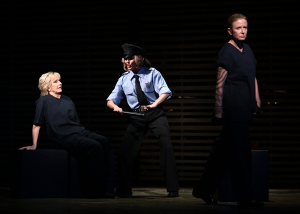 Photo Coverage: SNEEK PEEK at Florence Henderson in BROADWAY BACKWARDS 5 Image