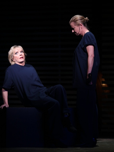 Photo Coverage: SNEEK PEEK at Florence Henderson in BROADWAY BACKWARDS 5 Image