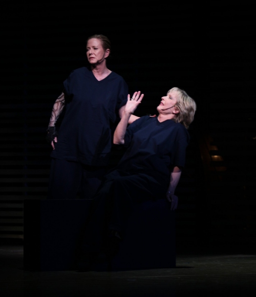 Photo Coverage: SNEEK PEEK at Florence Henderson in BROADWAY BACKWARDS 5 Image