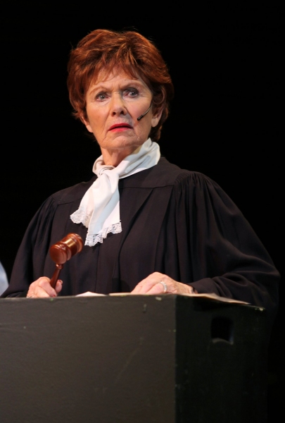 Photo Coverage: SNEEK PEEK at Florence Henderson in BROADWAY BACKWARDS 5 Image