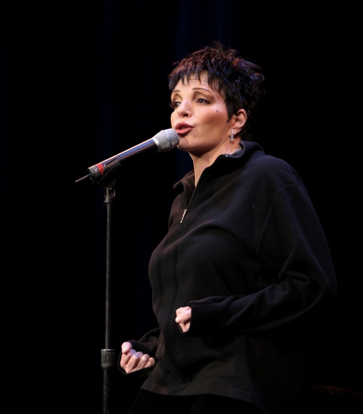 Photos: Vineyard, Minnelli, Rivera, Chenoweth et al. Honor Kander - Part 1 Image