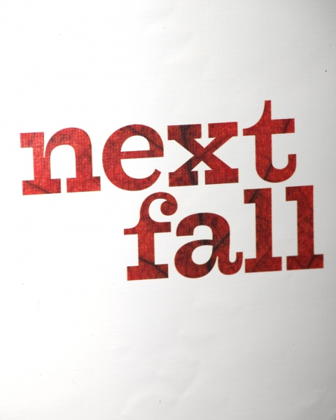 Photo Coverage: The Stars Come Out for NEXT FALL VIP Performance! Image