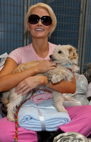 Photo Coverage: PEEPSHOW's Madison Donates Blankets to Needy Dogs Image