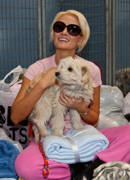 Photo Coverage: PEEPSHOW's Madison Donates Blankets to Needy Dogs Image