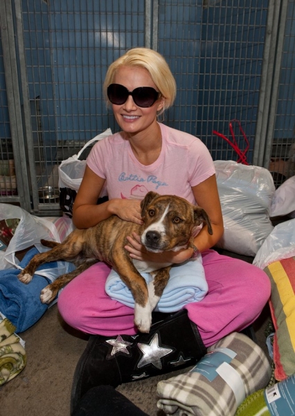 Photo Coverage: PEEPSHOW's Madison Donates Blankets to Needy Dogs Image