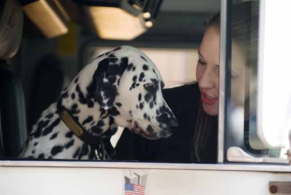 Photo Coverage: 101 DALMATIONS Arrives in New York City 