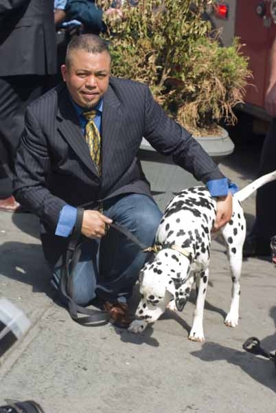 Photo Coverage: 101 DALMATIONS Arrives in New York City Image