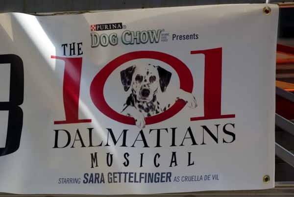 Photo Coverage: 101 DALMATIONS Arrives in New York City Image